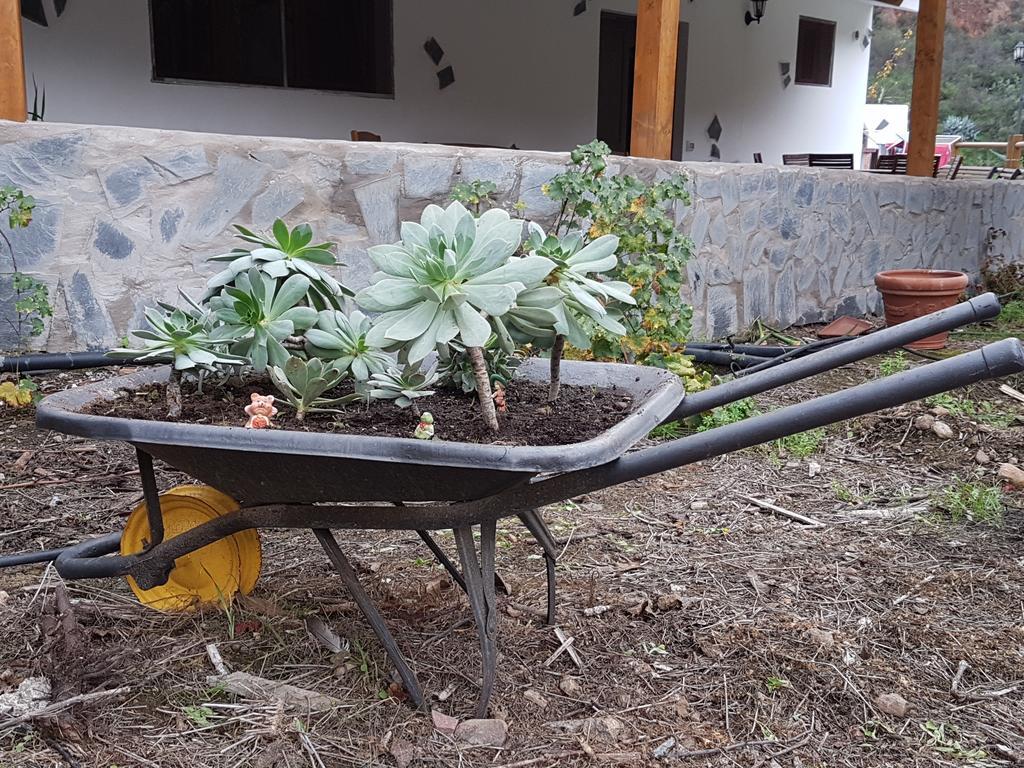 Casa Rural La Hoyita De Tunte San Bartolomé Zewnętrze zdjęcie