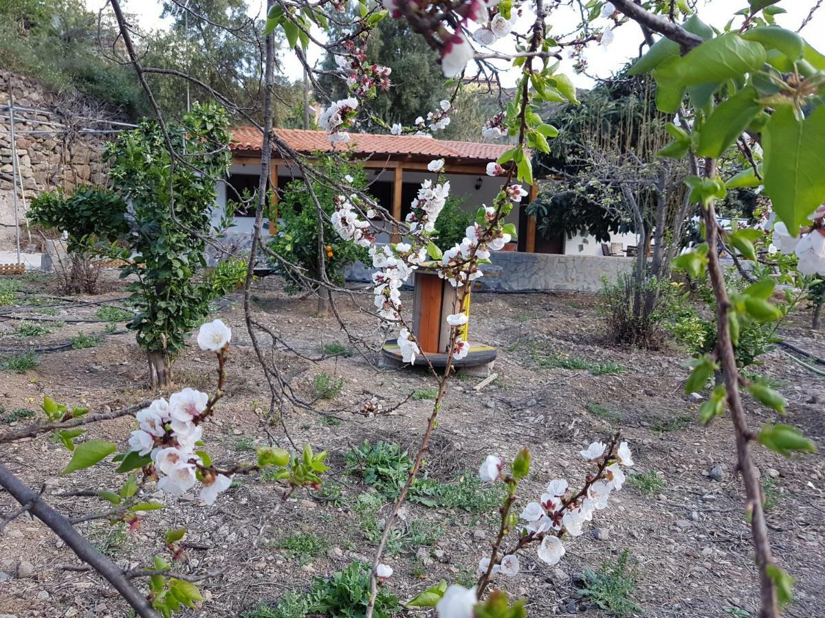 Casa Rural La Hoyita De Tunte San Bartolomé Zewnętrze zdjęcie