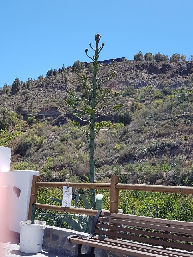 Casa Rural La Hoyita De Tunte San Bartolomé Zewnętrze zdjęcie