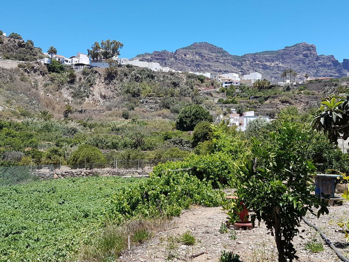 Casa Rural La Hoyita De Tunte San Bartolomé Zewnętrze zdjęcie