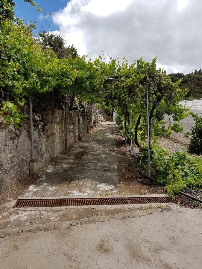 Casa Rural La Hoyita De Tunte San Bartolomé Zewnętrze zdjęcie